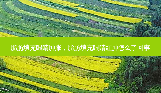 脂肪填充眼睛肿胀,脂肪填充眼睛红肿怎么了回事-第1张图片-容颜讯 脂肪填充眼睛肿胀,脂肪填充眼睛红肿怎么了回事-第1张图片-容颜讯