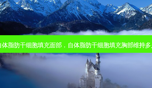 自体脂肪干细胞填充面部,自体脂肪干细胞填充胸部维持多久-第1张图片-容颜讯 自体脂肪干细胞填充面部,自体脂肪干细胞填充胸部维持多久-第1张图片-容颜讯
