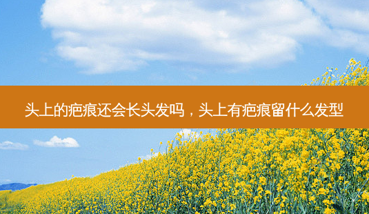头上的疤痕还会长头发吗,头上有疤痕留什么发型-第1张图片-容颜讯 头上的疤痕还会长头发吗,头上有疤痕留什么发型-第1张图片-容颜讯