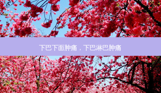 下巴下面肿痛,下巴淋巴肿痛-第1张图片-容颜讯 下巴下面肿痛,下巴淋巴肿痛-第1张图片-容颜讯