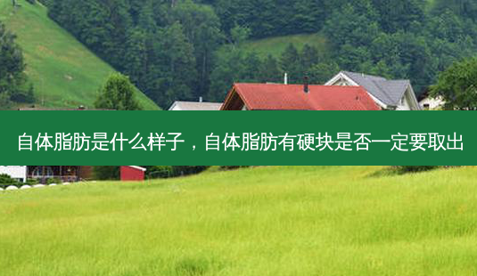 自体脂肪是什么样子,自体脂肪有硬块是否一定要取出-第1张图片-容颜讯 自体脂肪是什么样子,自体脂肪有硬块是否一定要取出-第1张图片-容颜讯