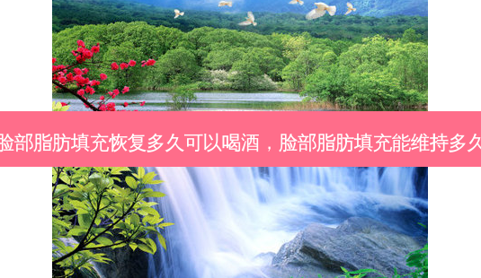 脸部脂肪填充恢复多久可以喝酒,脸部脂肪填充能维持多久-第1张图片-容颜讯 脸部脂肪填充恢复多久可以喝酒,脸部脂肪填充能维持多久-第1张图片-容颜讯