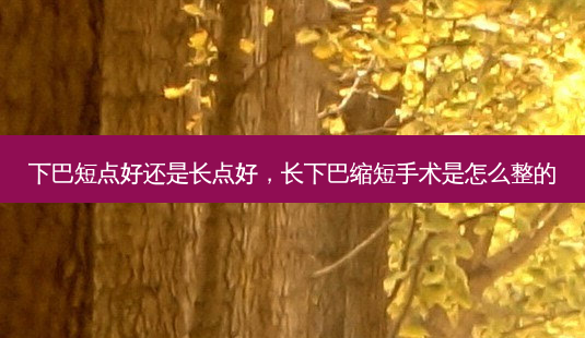 下巴短点好还是长点好,长下巴缩短手术是怎么整的-第1张图片-容颜讯 下巴短点好还是长点好,长下巴缩短手术是怎么整的-第1张图片-容颜讯