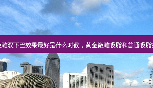 黄金微雕双下巴效果好是什么时候,黄金微雕吸脂和普通吸脂的区别-第1张图片-容颜讯 黄金微雕双下巴效果好是什么时候,黄金微雕吸脂和普通吸脂的区别-第1张图片-容颜讯
