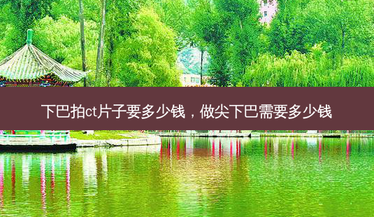 下巴拍ct片子要多少钱,做尖下巴需要多少钱-第1张图片-容颜讯 下巴拍ct片子要多少钱,做尖下巴需要多少钱-第1张图片-容颜讯