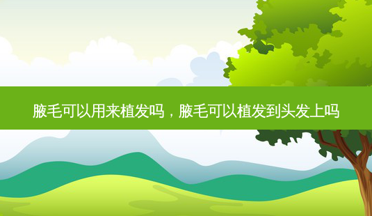 腋毛可以用来植发吗,腋毛可以植发到头发上吗-第1张图片-容颜讯 腋毛可以用来植发吗,腋毛可以植发到头发上吗-第1张图片-容颜讯