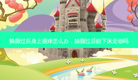 抽脂过后身上很痒怎么办,抽脂过后能下床走动吗-第1张图片-容颜讯 抽脂过后身上很痒怎么办,抽脂过后能下床走动吗-第1张图片-容颜讯
