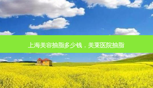 上海美容抽脂多少钱,美莱医院抽脂-第1张图片-容颜讯 上海美容抽脂多少钱,美莱医院抽脂-第1张图片-容颜讯