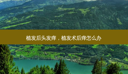 植发后头发痒,植发术后痒怎么办-第1张图片-容颜讯 植发后头发痒,植发术后痒怎么办-第1张图片-容颜讯