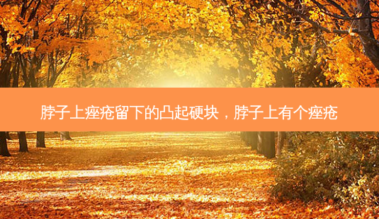 脖子上痤疮留下的凸起硬块,脖子上有个痤疮-第1张图片-容颜讯 脖子上痤疮留下的凸起硬块,脖子上有个痤疮-第1张图片-容颜讯