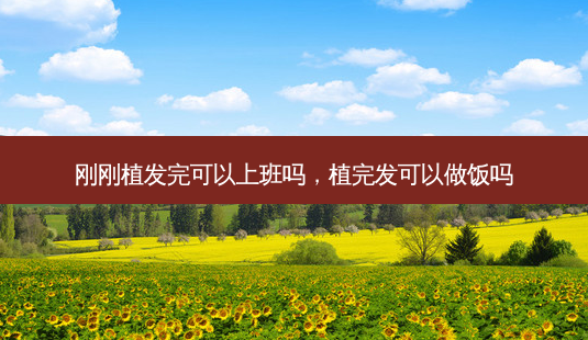 刚刚植发完可以上班吗,植完发可以做饭吗-第1张图片-容颜讯 刚刚植发完可以上班吗,植完发可以做饭吗-第1张图片-容颜讯