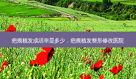 疤痕植发成活率是多少,疤痕植发整形修改医院-第1张图片-容颜讯 疤痕植发成活率是多少,疤痕植发整形修改医院-第1张图片-容颜讯