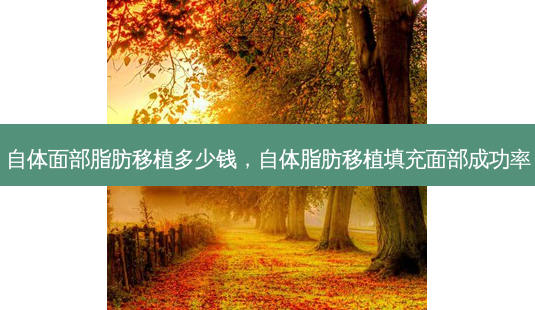 自体面部脂肪移植多少钱,自体脂肪移植填充面部成功率-第1张图片-容颜讯 自体面部脂肪移植多少钱,自体脂肪移植填充面部成功率-第1张图片-容颜讯