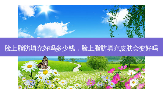 脸上脂肪填充好吗多少钱,脸上脂肪填充皮肤会变好吗-第1张图片-容颜讯 脸上脂肪填充好吗多少钱,脸上脂肪填充皮肤会变好吗-第1张图片-容颜讯