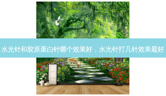 水光针和胶原蛋白针哪个效果好,水光针打几针效果好-第1张图片-容颜讯 水光针和胶原蛋白针哪个效果好,水光针打几针效果好-第1张图片-容颜讯