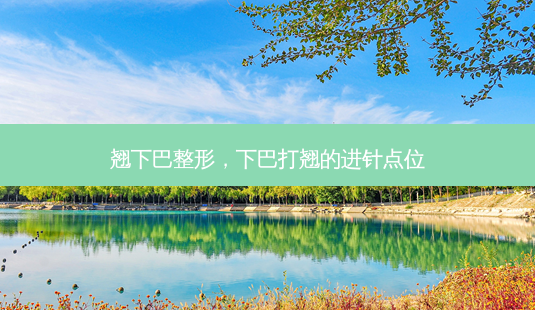翘下巴整形,下巴打翘的进针点位-第1张图片-容颜讯 翘下巴整形,下巴打翘的进针点位-第1张图片-容颜讯