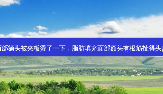 脂肪填充面部额头被夹板烫了一下,脂肪填充面部额头有根筋扯得头皮痛怎么办-第1张图片-容颜讯 脂肪填充面部额头被夹板烫了一下,脂肪填充面部额头有根筋扯得头皮痛怎么办-第1张图片-容颜讯