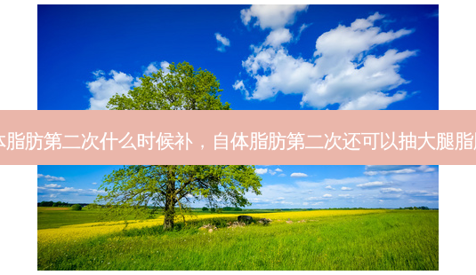 自体脂肪第二次什么时候补,自体脂肪第二次还可以抽大腿脂肪吗-第1张图片-容颜讯 自体脂肪第二次什么时候补,自体脂肪第二次还可以抽大腿脂肪吗-第1张图片-容颜讯