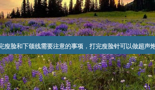 打完瘦脸和下颌线需要注意的事项,打完瘦脸针可以做超声炮吗-第1张图片-容颜讯 打完瘦脸和下颌线需要注意的事项,打完瘦脸针可以做超声炮吗-第1张图片-容颜讯
