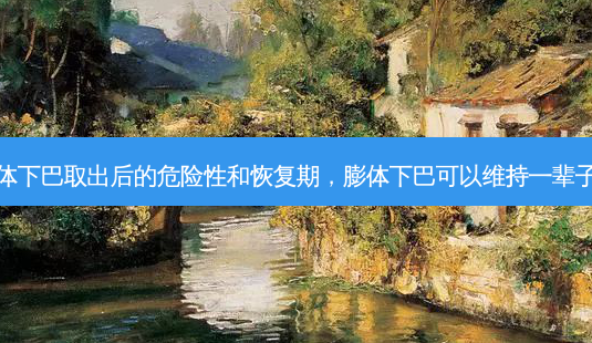 膨体下巴取出后的危险性和恢复期,膨体下巴可以维持一辈子吗-第1张图片-容颜讯 膨体下巴取出后的危险性和恢复期,膨体下巴可以维持一辈子吗-第1张图片-容颜讯