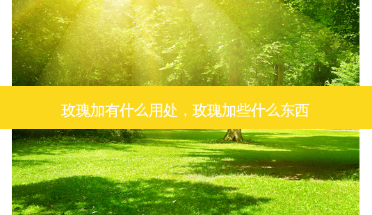 玫瑰加有什么用处,玫瑰加些什么东西-第1张图片-容颜讯 玫瑰加有什么用处,玫瑰加些什么东西-第1张图片-容颜讯