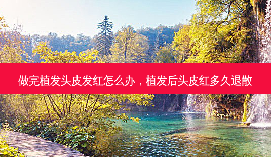 做完植发头皮发红怎么办,植发后头皮红多久退散-第1张图片-容颜讯 做完植发头皮发红怎么办,植发后头皮红多久退散-第1张图片-容颜讯