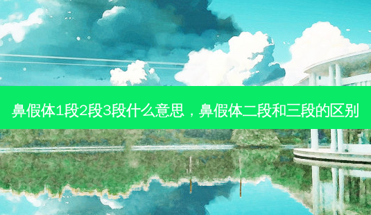 鼻假体1段2段3段什么意思,鼻假体二段和三段的区别-第1张图片-容颜讯 鼻假体1段2段3段什么意思,鼻假体二段和三段的区别-第1张图片-容颜讯