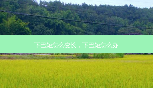 下巴短怎么变长,下巴短怎么办-第1张图片-容颜讯 下巴短怎么变长,下巴短怎么办-第1张图片-容颜讯