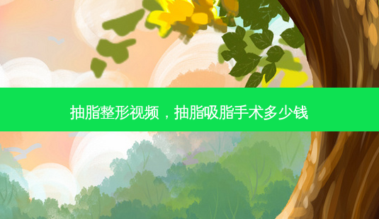 抽脂整形视频,抽脂吸脂手术多少钱-第1张图片-容颜讯 抽脂整形视频,抽脂吸脂手术多少钱-第1张图片-容颜讯
