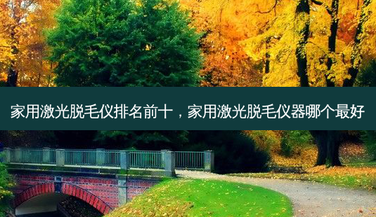 家用激光脱毛仪排名前十，家用激光脱毛仪器哪个好-第1张图片-容颜讯