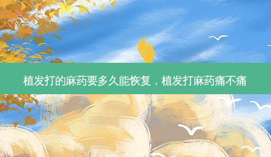 植发打的麻药要多久能恢复，植发打麻药痛不痛-第1张图片-容颜讯