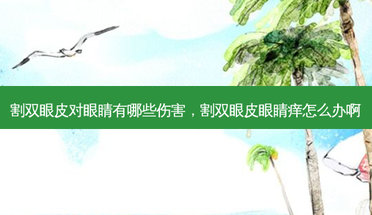 割双眼皮对眼睛有哪些伤害,割双眼皮眼睛痒怎么办啊-第1张图片-容颜讯 割双眼皮对眼睛有哪些伤害,割双眼皮眼睛痒怎么办啊-第1张图片-容颜讯