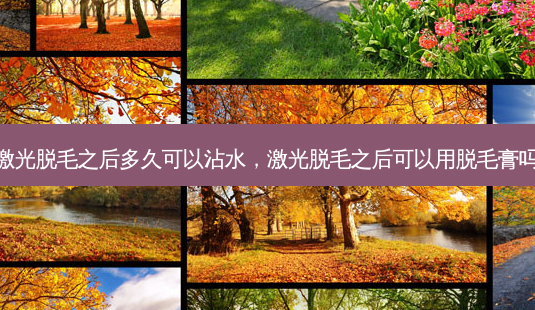 激光脱毛之后多久可以沾水,激光脱毛之后可以用脱毛膏吗-第1张图片-容颜讯 激光脱毛之后多久可以沾水,激光脱毛之后可以用脱毛膏吗-第1张图片-容颜讯