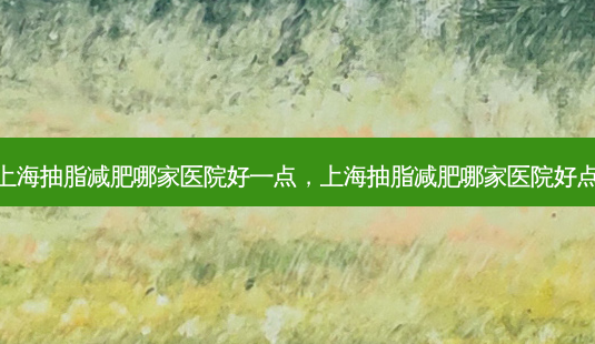 上海抽脂减肥哪家医院好一点，上海抽脂减肥哪家医院好点-第1张图片-容颜讯