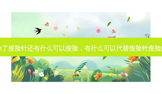 除了瘦脸针还有什么可以瘦脸,有什么可以代替瘦脸针瘦脸的-第1张图片-容颜讯 除了瘦脸针还有什么可以瘦脸,有什么可以代替瘦脸针瘦脸的-第1张图片-容颜讯