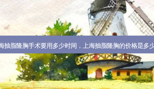 上海抽脂隆胸手术要用多少时间,上海抽脂隆胸的价格是多少钱-第1张图片-容颜讯 上海抽脂隆胸手术要用多少时间,上海抽脂隆胸的价格是多少钱-第1张图片-容颜讯