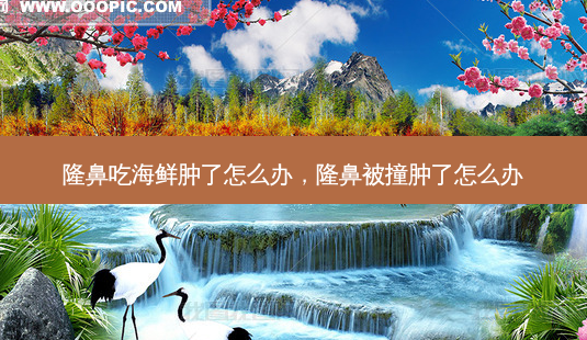 隆鼻吃海鲜肿了怎么办，隆鼻被撞肿了怎么办-第1张图片-容颜讯