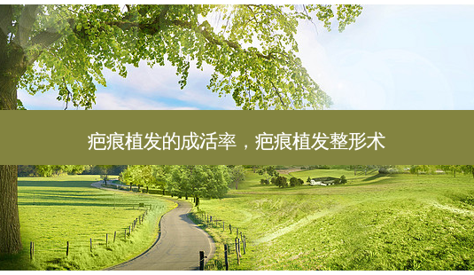 疤痕植发的成活率,疤痕植发整形术-第1张图片-容颜讯 疤痕植发的成活率,疤痕植发整形术-第1张图片-容颜讯