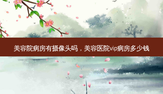 美容院病房有摄像头吗，美容医院vip病房多少钱-第1张图片-容颜讯