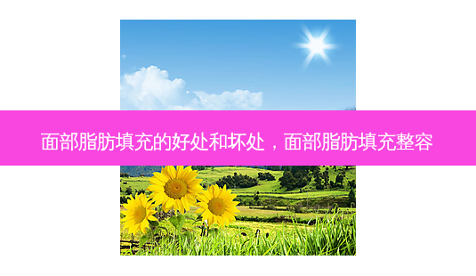 面部脂肪填充的好处和坏处,面部脂肪填充整容-第1张图片-容颜讯 面部脂肪填充的好处和坏处,面部脂肪填充整容-第1张图片-容颜讯