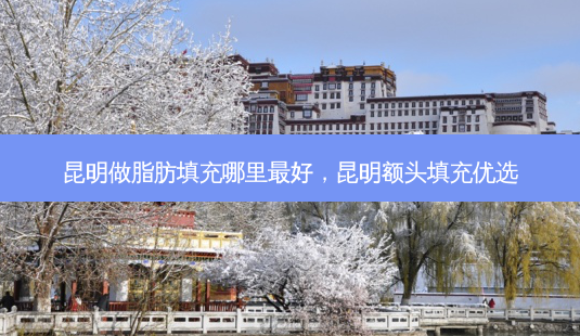 昆明做脂肪填充哪里好,昆明额头填充优选-第1张图片-容颜讯 昆明做脂肪填充哪里好,昆明额头填充优选-第1张图片-容颜讯