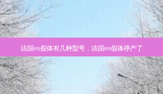 法国es假体有几种型号,法国es假体停产了-第1张图片-容颜讯 法国es假体有几种型号,法国es假体停产了-第1张图片-容颜讯