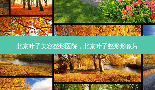 北京叶子美容整形医院，北京叶子整形形象片-第1张图片-容颜讯