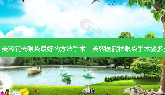 现在美容院去眼袋好的 *** 手术，美容医院祛眼袋手术要多少钱-第1张图片-容颜讯