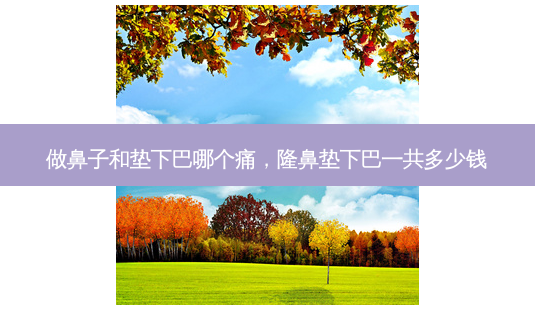 做鼻子和垫下巴哪个痛，隆鼻垫下巴一共多少钱-第1张图片-容颜讯