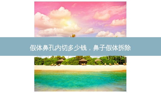 假体鼻孔内切多少钱,鼻子假体拆除-第1张图片-容颜讯 假体鼻孔内切多少钱,鼻子假体拆除-第1张图片-容颜讯