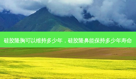 硅胶隆胸可以维持多少年，硅胶隆鼻能保持多少年寿命-第1张图片-容颜讯
