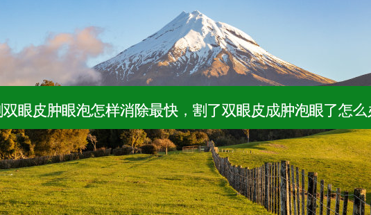 割双眼皮肿眼泡怎样消除快，割了双眼皮成肿泡眼了怎么办-第1张图片-容颜讯