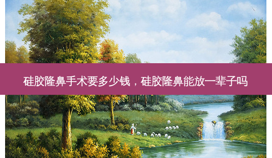 硅胶隆鼻手术要多少钱,硅胶隆鼻能放一辈子吗-第1张图片-容颜讯 硅胶隆鼻手术要多少钱,硅胶隆鼻能放一辈子吗-第1张图片-容颜讯