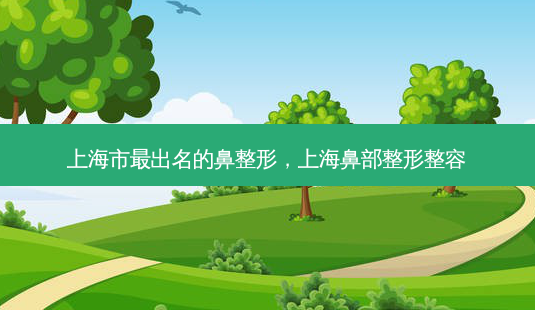 上海市出名的鼻整形，上海鼻部整形整容-第1张图片-容颜讯